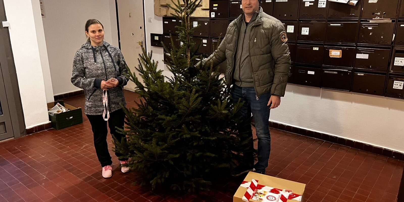 Fenyőfa osztás 2022