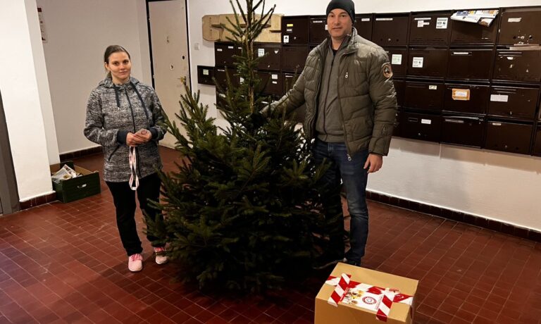 Fenyőfa osztás 2022