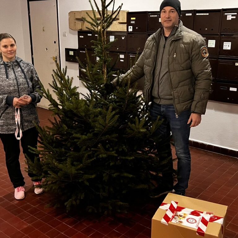 Fenyőfa osztás 2022